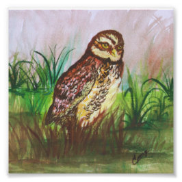 Owl in nature watercolor art フォトプリント