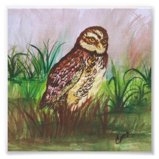 Owl in nature watercolor art フォトプリント            (正面)