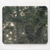 Owl in the Forest マウスパッド (正面)