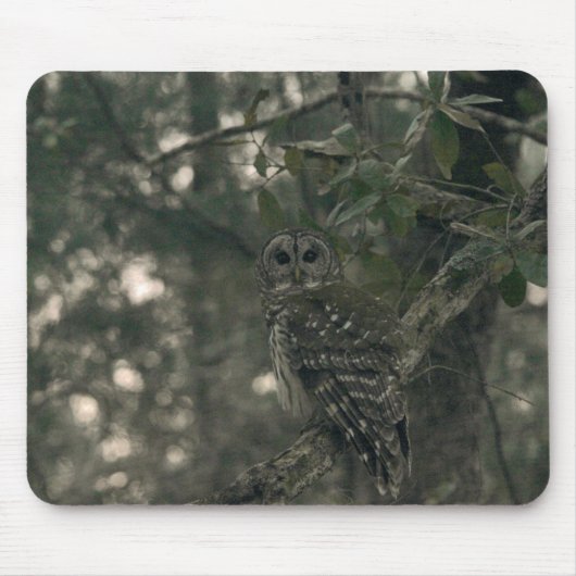 Owl in the Forest マウスパッド (正面)