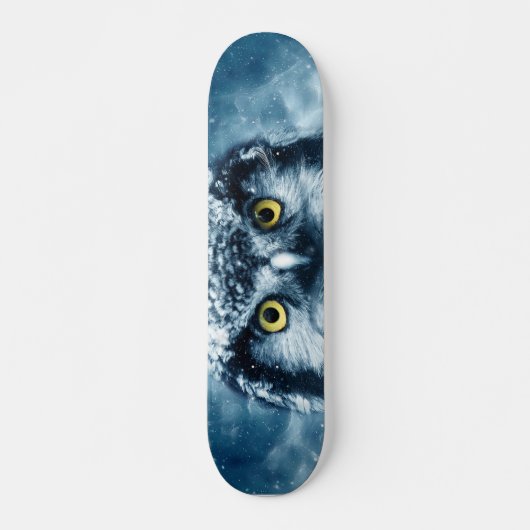 Owl in the snow skateboard スケートボード (正面)