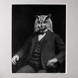 Owl Inventor ポスター