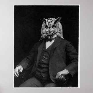 Owl Inventor ポスター
