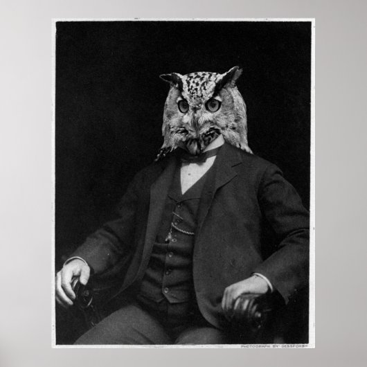 Owl Inventor ポスター (正面)