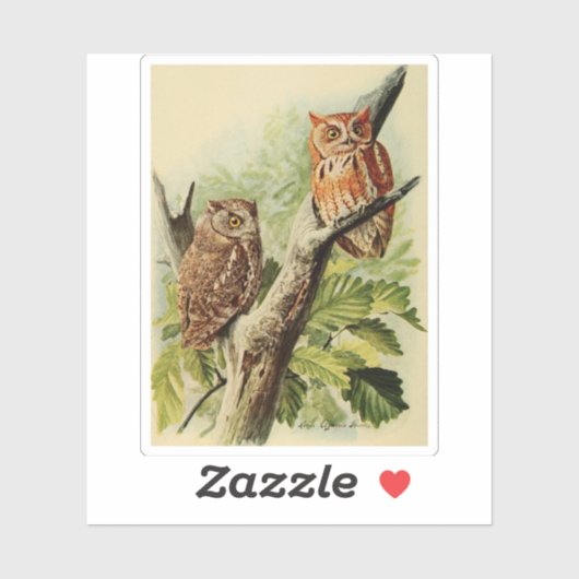 Owl Print  シール (シート)