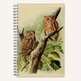 Owl Print Notebook ノートブック