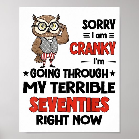 Owl Sorry I'm Cranky I'm Going Through My Terrible ポスター (正面)