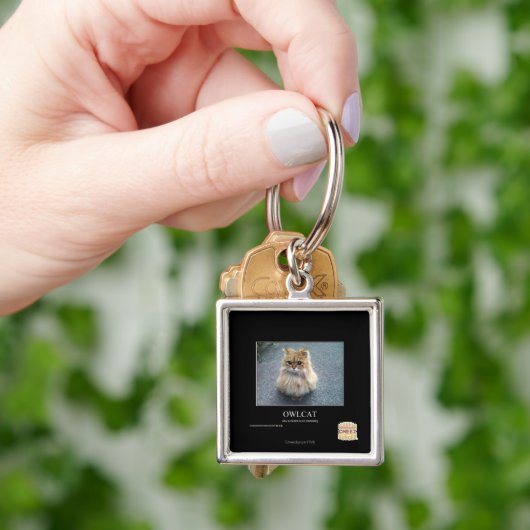 Owlcat キーホルダー (手)