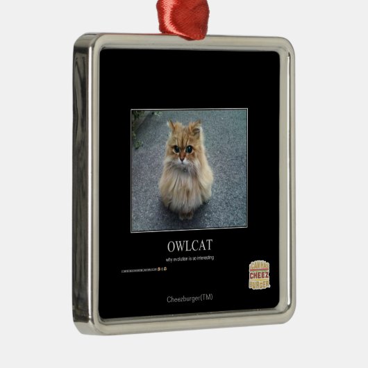 Owlcat メタルオーナメント (右)