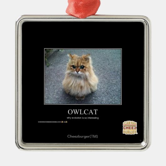 Owlcat メタルオーナメント (正面)