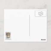 Owlieはがき ポストカード (裏面)