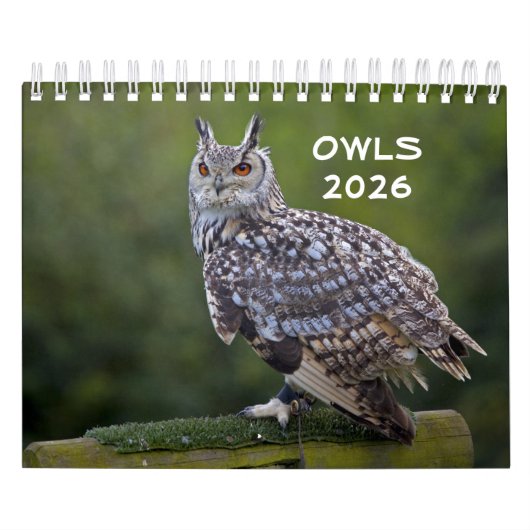 Owlsカレンダー2025 カレンダー (カバー)
