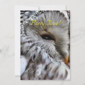 OWLS招待状 (正面)