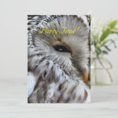 OWLS招待状 (スタンド正面)