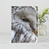 OWLS招待状 (スタンド正面)