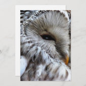 OWLS招待状 (正面/裏面)