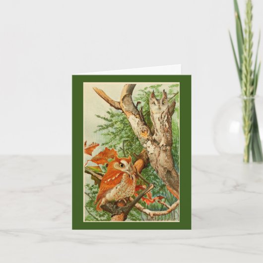 Owls誕生日グリーティングカード2 カード (正面)