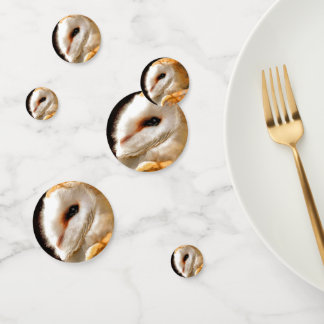 OWLS コンフェッティ