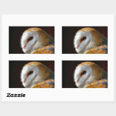 OWLS 長方形シール (シート)