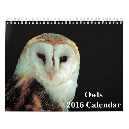 Owls 2016カレンダー カレンダー (カバー)