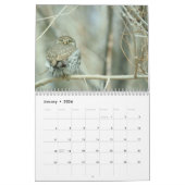 Owls 2016カレンダー カレンダー (1月 2026)