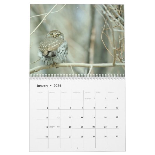 Owls 2016カレンダー カレンダー (1月 2026)