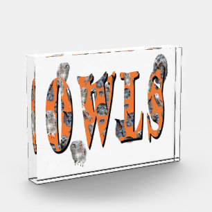 Owls Is The Name フォトブロック