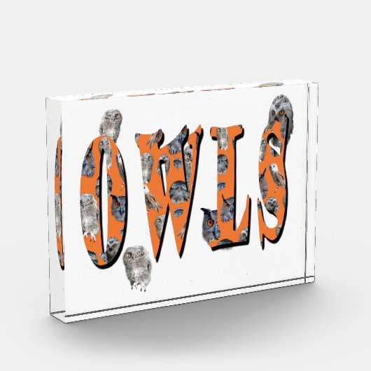 Owls Is The Name フォトブロック (左)