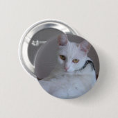 Owoのペット: Pitusa 缶バッジ (正面&裏面)