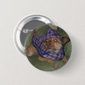 Owoのペット: Scooby 缶バッジ (正面&裏面)