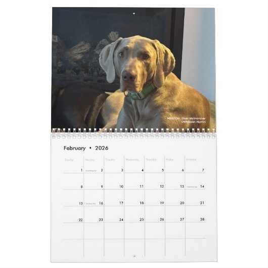 OWRAssist Love Rescues カレンダー (2月 2026)