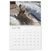 OWRAssist Love Rescues カレンダー (1月 2026)