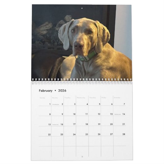 OWRAssist Love Rescues カレンダー (2月 2026)