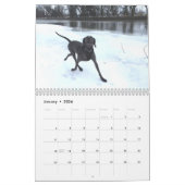 OWRAssist Love Rescues カレンダー (1月 2026)