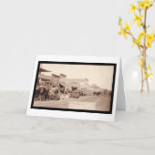 Ox Teams at Sturgis Dakota Territory SD 1887 カード (黄色い花)