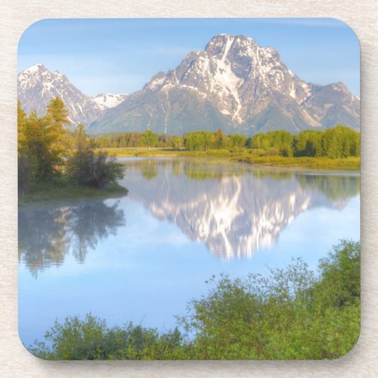 Oxbowのくねり コースター (正面)