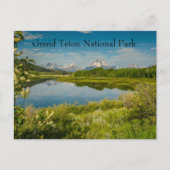 Oxbow Bend Grand Teton National Park ポストカード (正面)