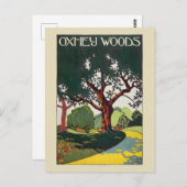 Oxhey Woods Vintage Poster 1915 ポストカード (正面/裏面)