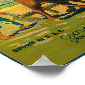 Oxnard Orange LabelOxnard（カリフォルニア州） ポスター (角)