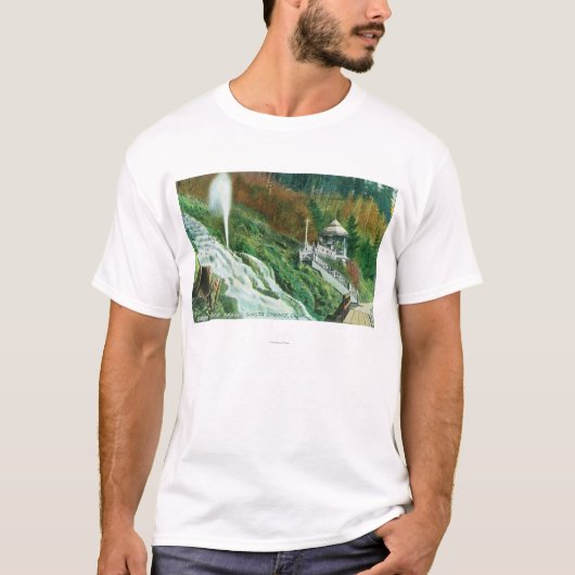 Oxoneの滝および春のViewShastaの春、カリフォルニア Tシャツ (正面)