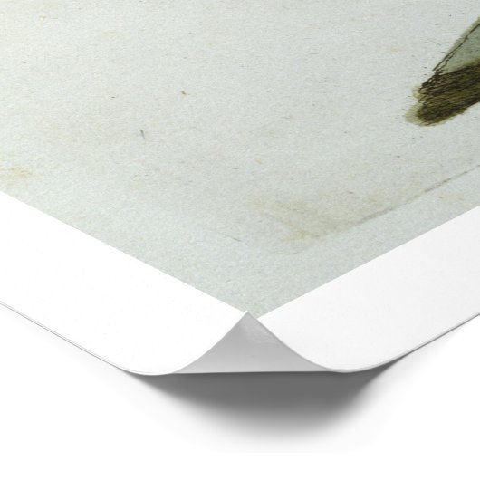 Oyster Catcher, c.1767-76 (hand coloured engraving ポスター (角)