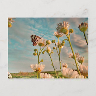 Ozからの魔法の塵のTouch ポストカード