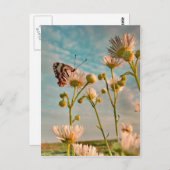 Ozからの魔法ダストのtouch ポストカード (正面/裏面)