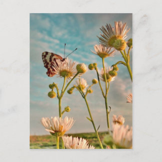 Ozからの魔法ダストのtouch ポストカード