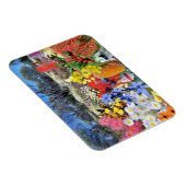 OZオーストラリアの野生の花の反射 マグネット (右側)