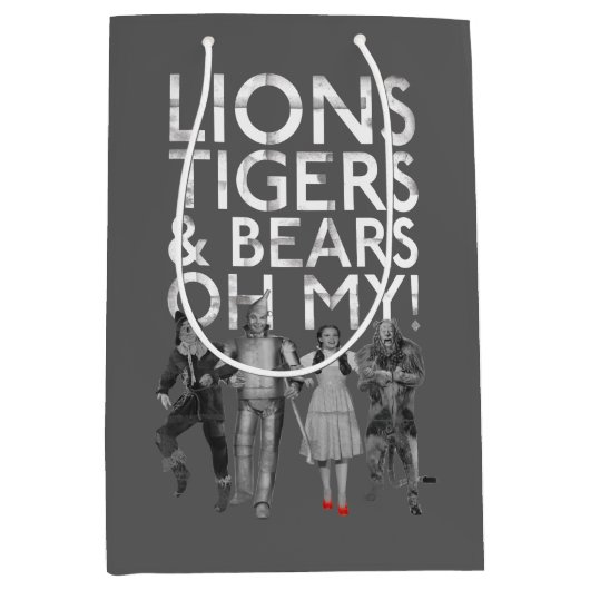OZ™のウィザード |ライオンの虎と熊は私の! ミディアムペーパーバッグ (正面)