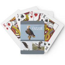 Ozzieのトランプの記憶