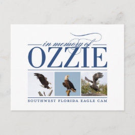 Ozzieポストカードの記憶 ポストカード