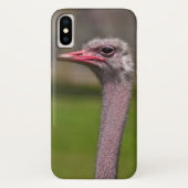 Ozzie iPhone Xケース Case-Mate iPhoneケース (裏面)
