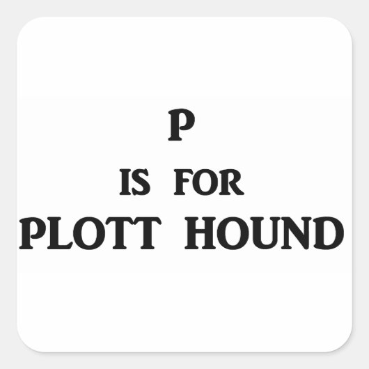 pはプロット用 スクエアシール (正面)